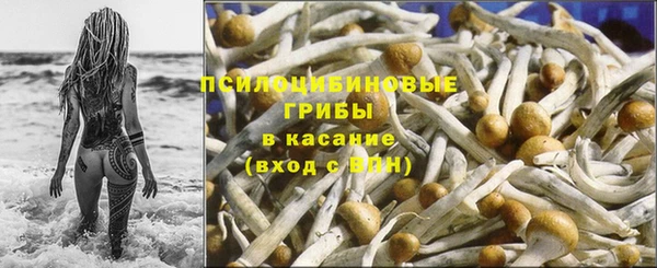 таблы Богданович
