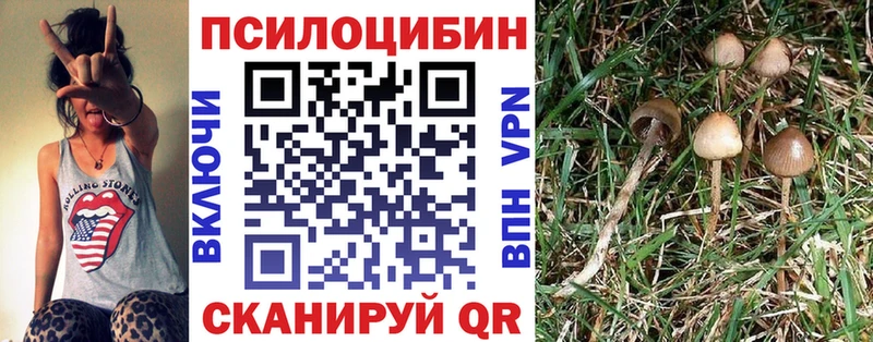 где можно купить наркотик блэк спрут ссылка Галлюциногенные грибы Psilocybine cubensis Старый Оскол